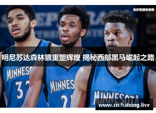 明尼苏达森林狼重塑辉煌 揭秘西部黑马崛起之路