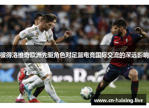 彼得洛维奇欧洲先驱角色对足篮电竞国际交流的深远影响